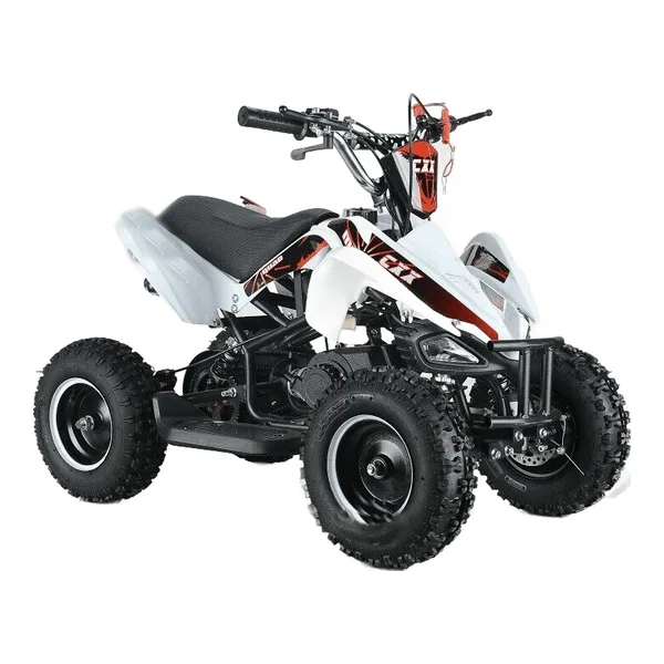 50cc 2 Stroke Mini Quad Bike - view 3