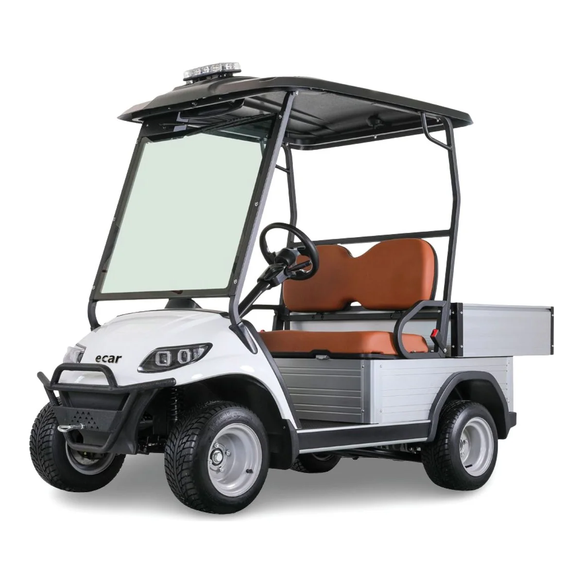 ECAR Lithium IKON HD 2UL 2 Seat Golf Cart - image 1