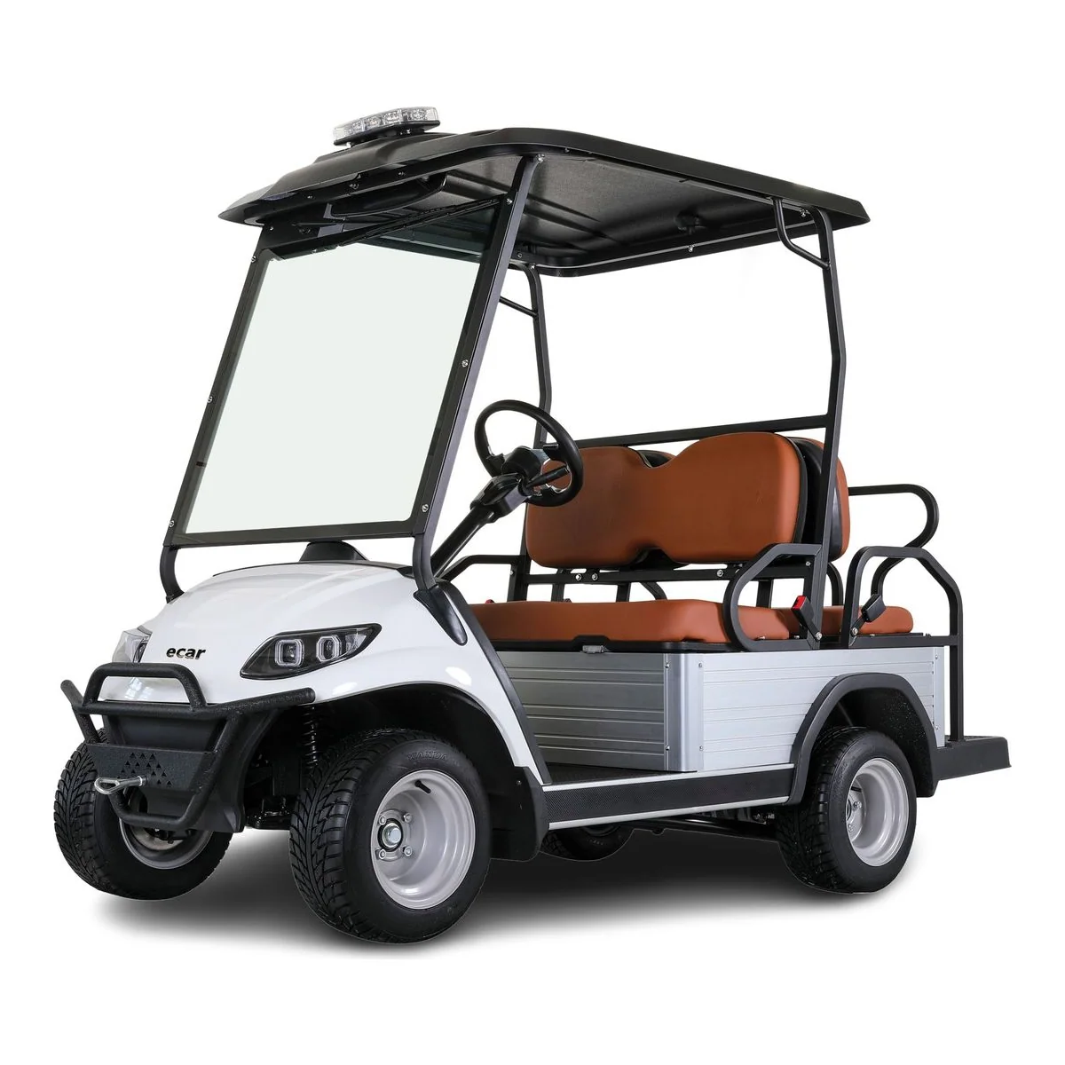 ECAR Lithium IKON HD 4S 4 Seat Golf Cart - image 1