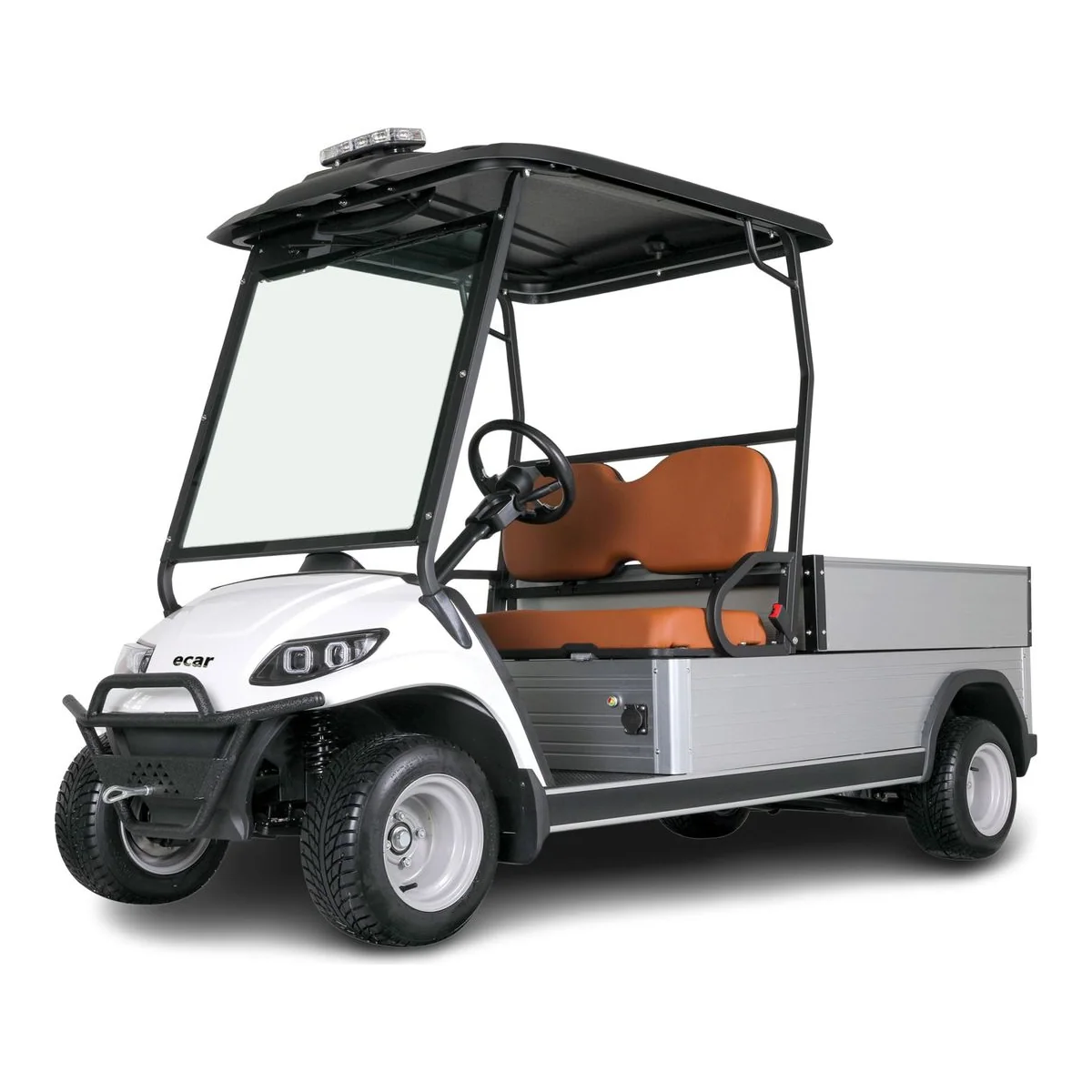 ECAR Lithium IKON HD H2 Golf Cart - image 1