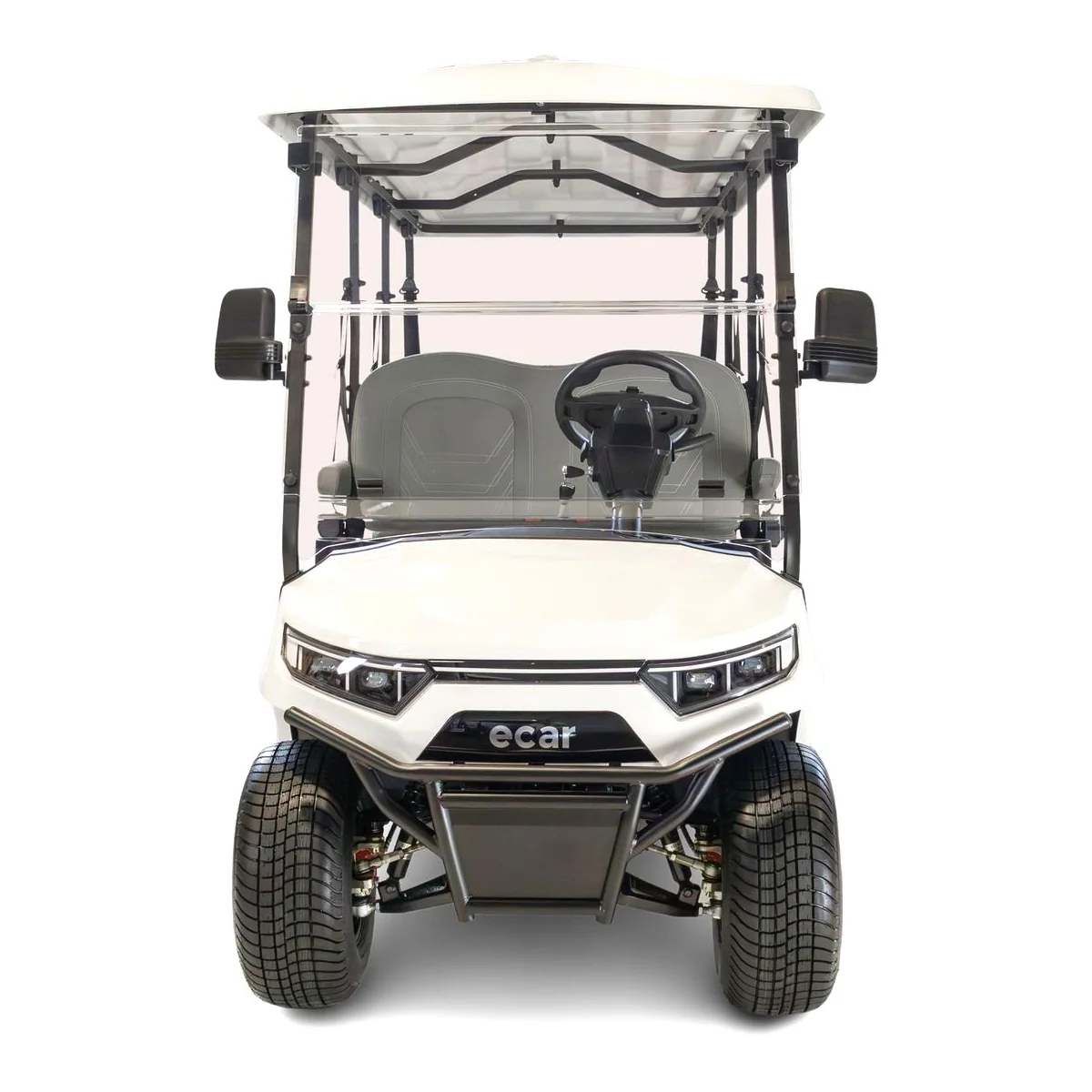 ECAR Lithium Magnum 6F 6 Seat Golf Cart - image 1