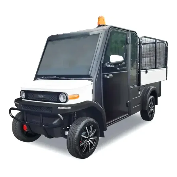 ECAR S-Series 2 Seat Resort Golf Cart