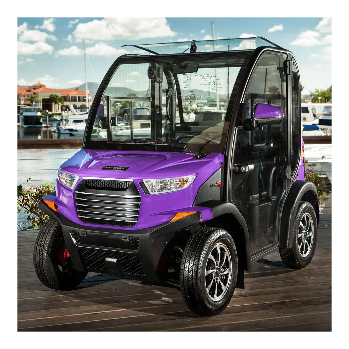 ECAR S-Series 2 Seat Resort Golf Cart - image 1