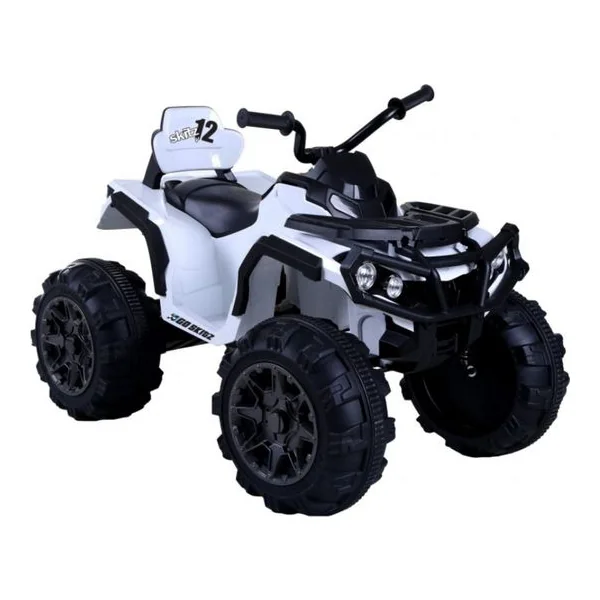 Electric Off-Road Buggies & UTVs