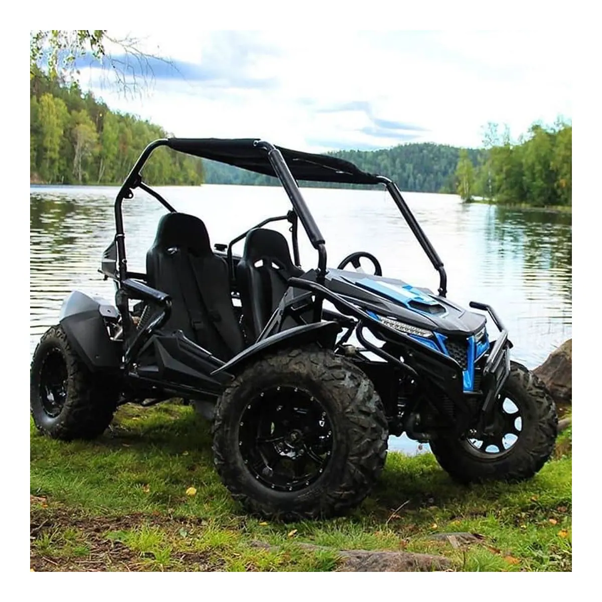 Trailmaster Cheetah 300cc Dune Buggy - image 1